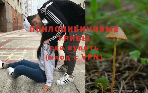 первитин Алексеевка