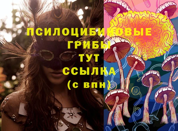 первитин Алексеевка