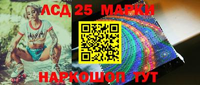 индика Лесосибирск