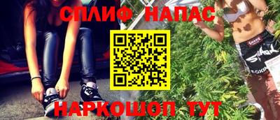 индика Лесосибирск