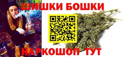 индика Лесосибирск