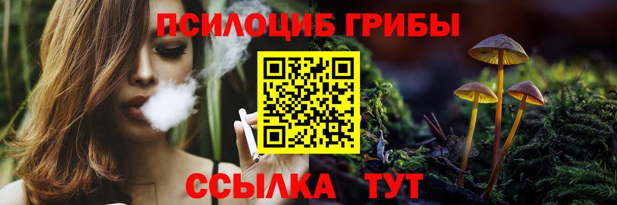 Каменск-Уральский  Галлюциногенные грибы мухоморы  Вход с VPN  Псилоцибиновые грибы мицелий 